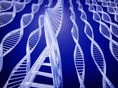 现代生物技术的管理特征及未来国内发展方向