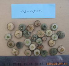 信阳市金星贸易 植物原药材与生物产品的绿色桥梁