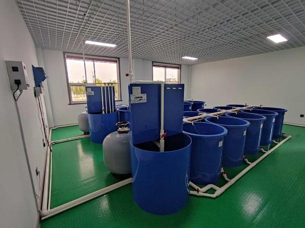 水生物繁育源头工厂设备解决方案