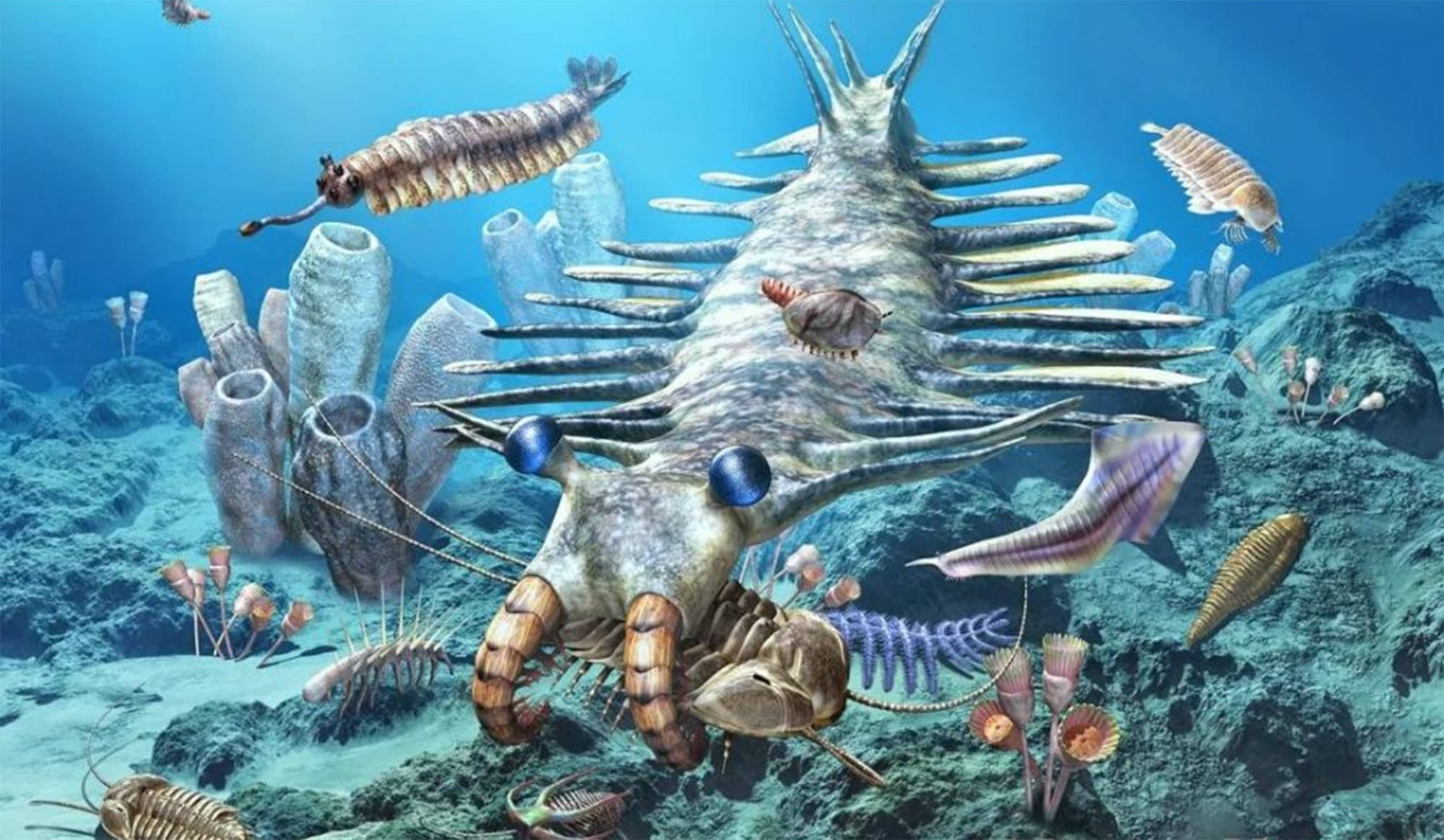 寒武纪生命大爆发 微生物与生命奇迹的共创序曲